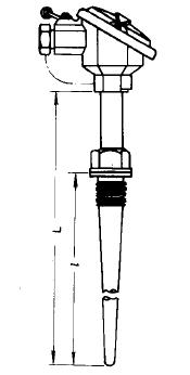 WZP2-621固定螺紋錐形套管雙支熱電阻安裝圖片