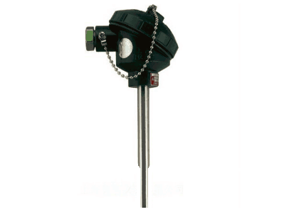 WZP-1312A無固定防水式引進(jìn)型熱電阻